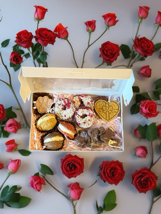 Luxury Dog Treat Selection Gift Box - Doughnuts, Biscuits, Macarons & ‘Chocolate’
