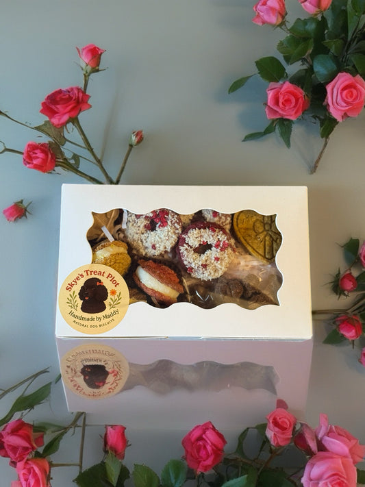 Valentine Dog Gift Box - Patisserie Taster Set - Doughnuts, Biscuits, Macarons & Chocolate