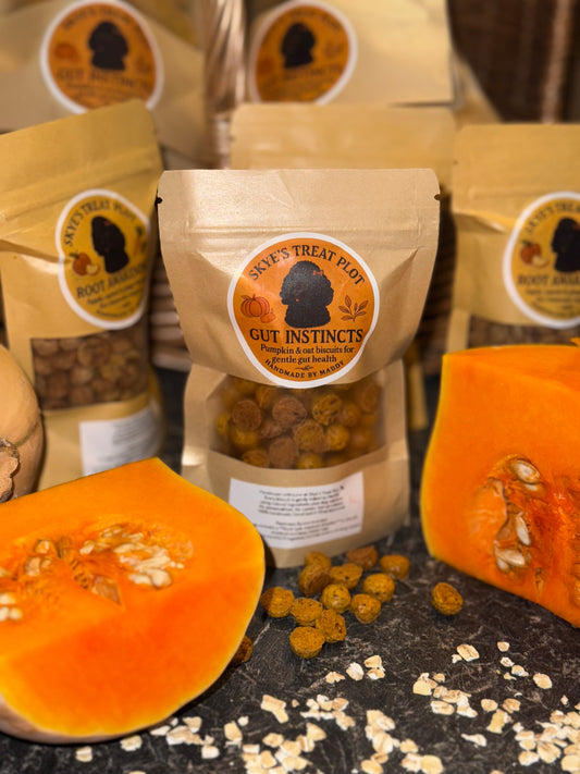 Gut Instincts Butternut Squash & Oat Training Treats - 40g