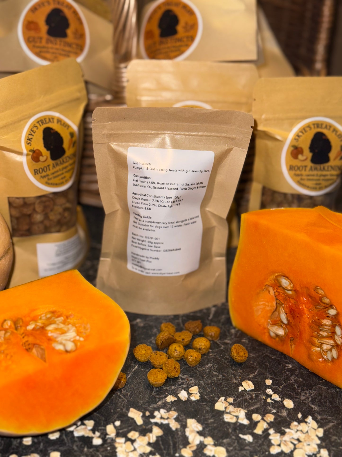 Gut Instincts Butternut Squash & Oat Training Treats - 40g