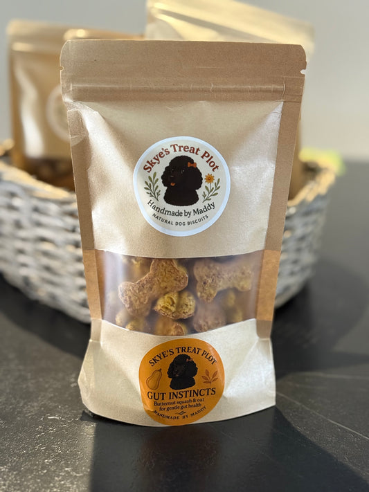 Gut Instincts - Butternut Squash & Oat Bone Biscuits 70g