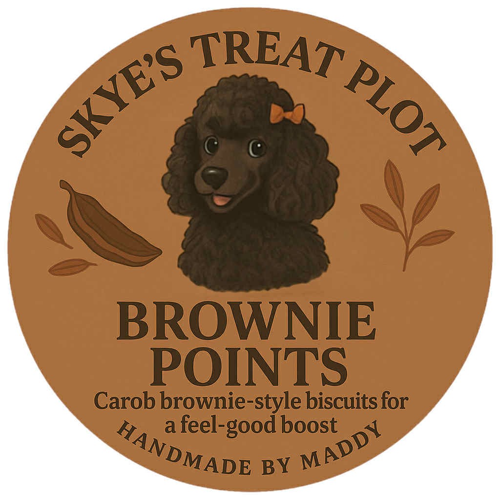 Brownie Points - Carob Dog Biscuits (70g)