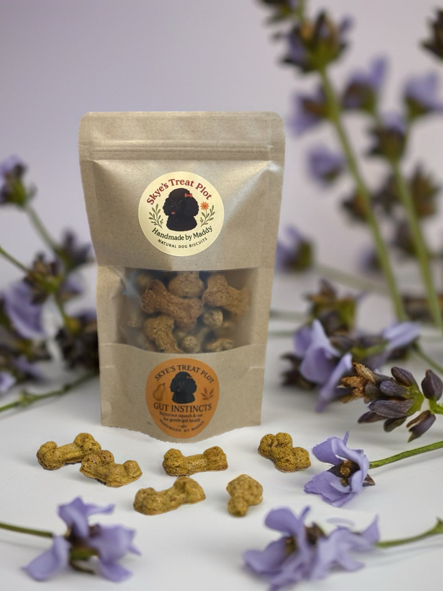 Gut Instincts - Butternut Squash & Oat Dog Biscuits 70g