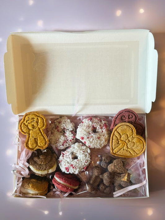 Luxury Dog Treat Selection Gift Box - Doughnuts, Biscuits & Macarons