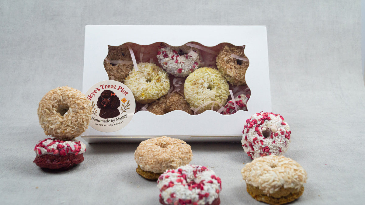 Dog Doughnut Gift Box | 8 Mini Pup Doughnuts | Handmade Natural Treats | Pooch Birthday/Gotcha Treats