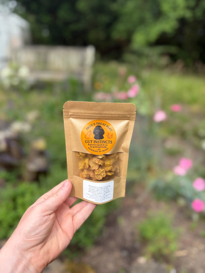 Gut Instincts Butternut Squash & Oat Dog Training Treats - 30g
