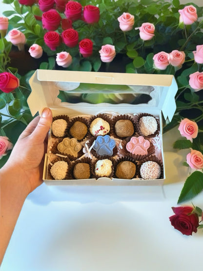 Luxury Coconut Truffles - Dog Safe ‘Chocolate’ Gift Box