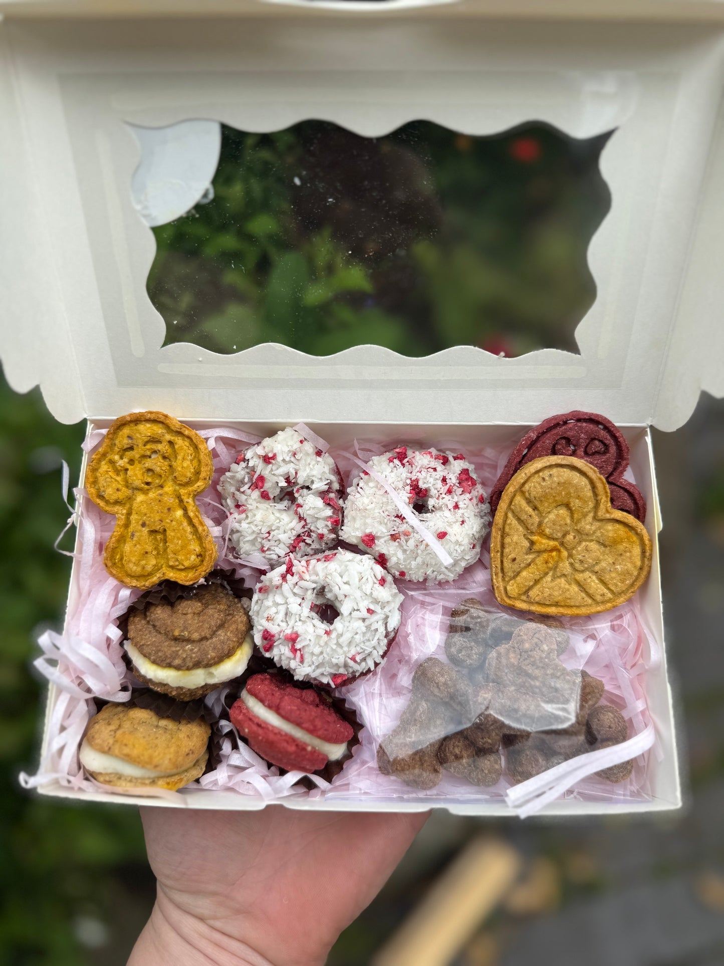 Luxury Dog Treat Selection Gift Box - Doughnuts, Biscuits & Macarons
