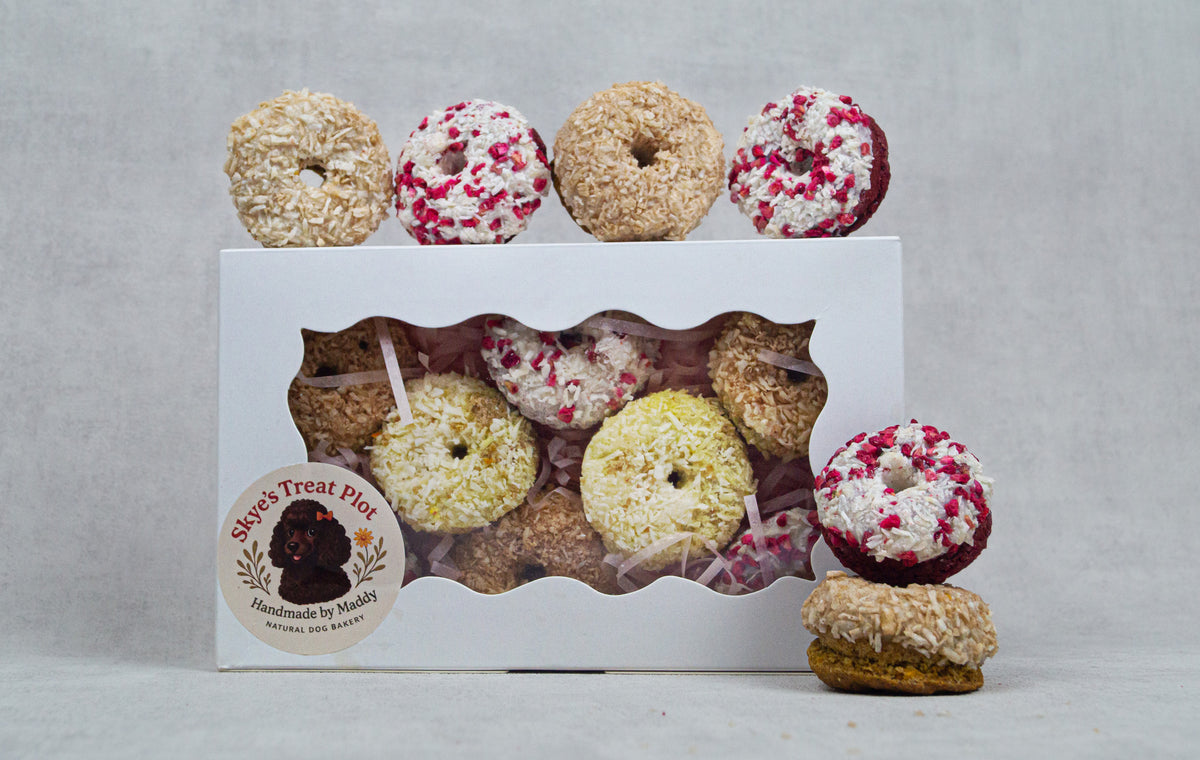 Dog Doughnut Gift Box | 8 Mini Pup Doughnuts | Handmade Natural Treats | Pooch Birthday/Gotcha Treats