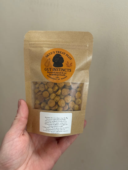 Gut Instincts Butternut Squash & Oat Dog Training Treats - 40g
