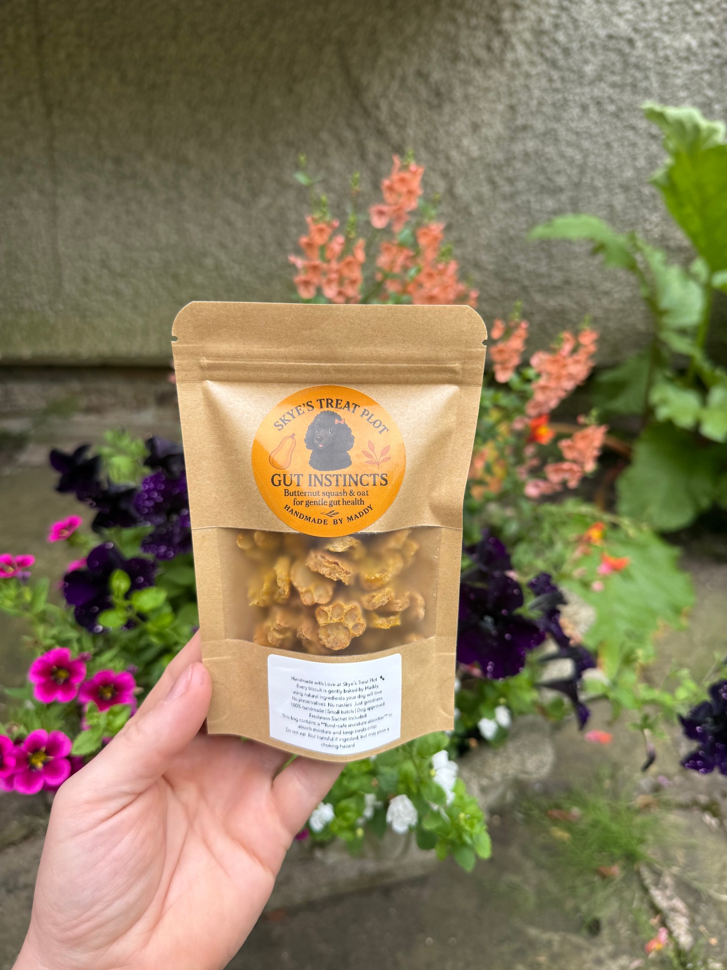 Gut Instincts Butternut Squash & Oat Dog Training Treats - 30g