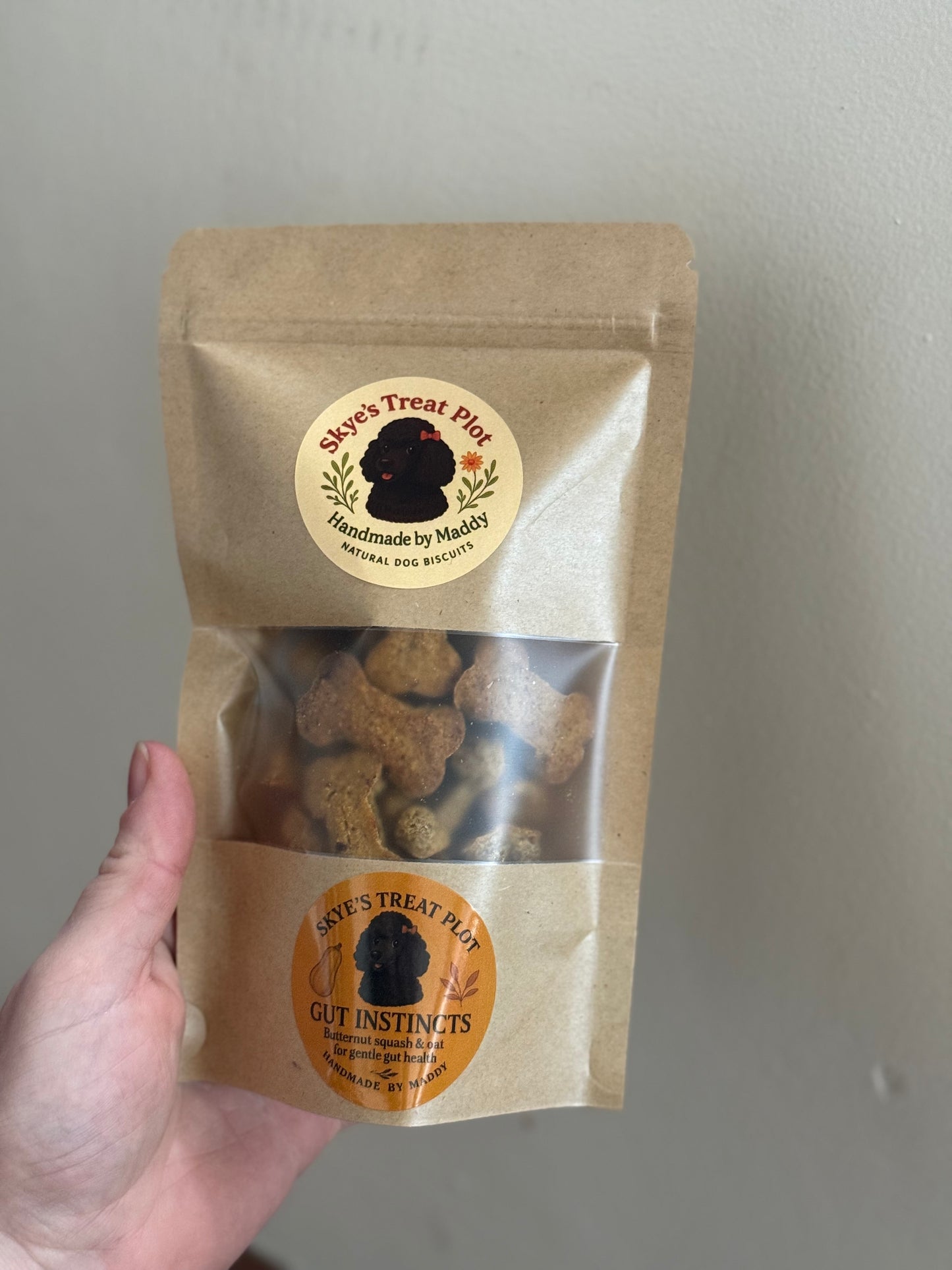 Gut Instincts - Butternut Squash & Oat Dog Biscuits 70g