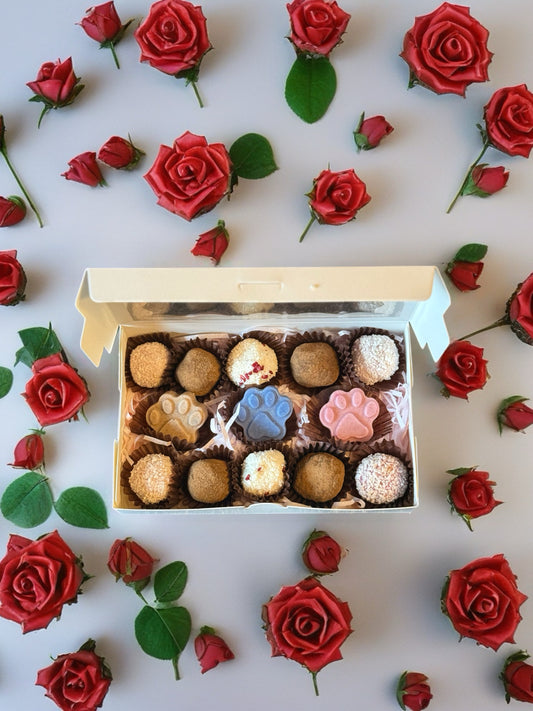Luxury Coconut Truffles - Dog Safe Chocolate Gift Box