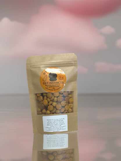 Gut Instincts Butternut Squash & Oat Dog Training Treats - 40g