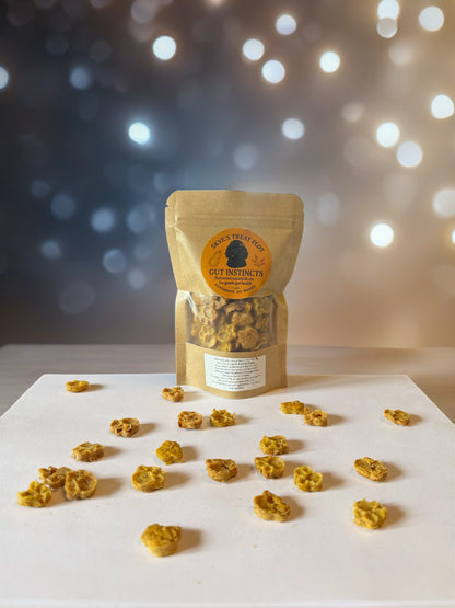 Gut Instincts Butternut Squash & Oat Dog Training Treats - 30g