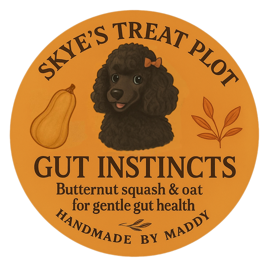 Gut Instincts - Butternut Squash & Oat Bone Biscuits 70g