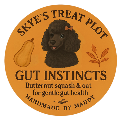 Gut Instincts - Butternut Squash & Oat Bone Biscuits 70g