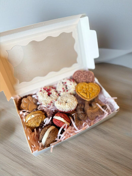Luxury Dog Treat Selection Gift Box - Doughnuts, Biscuits, Macarons & ‘Chocolate’