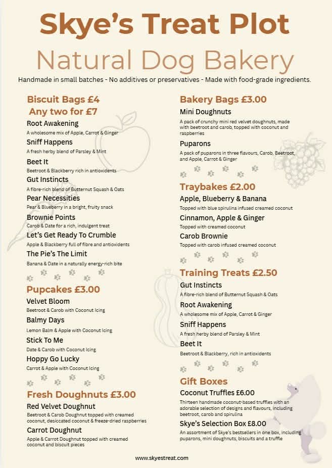 Gut Instincts - Butternut Squash & Oat Dog Biscuits 70g