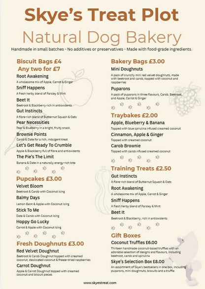 Gut Instincts - Butternut Squash & Oat Dog Biscuits 70g